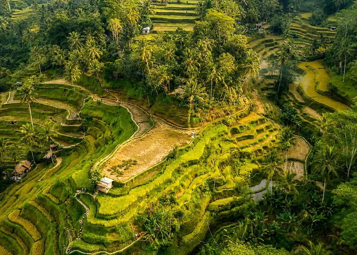 Tenang * Ubud (Bali)
